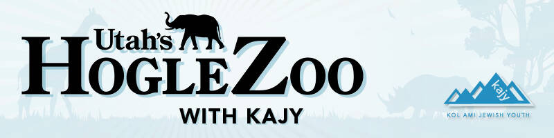 Hogle Zoo with KAJY